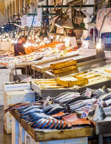 fish stalls in a fish market