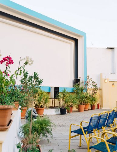 chairs and plants and movie screen