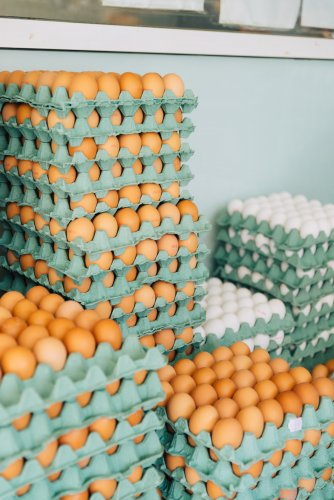 cartons of eggs
