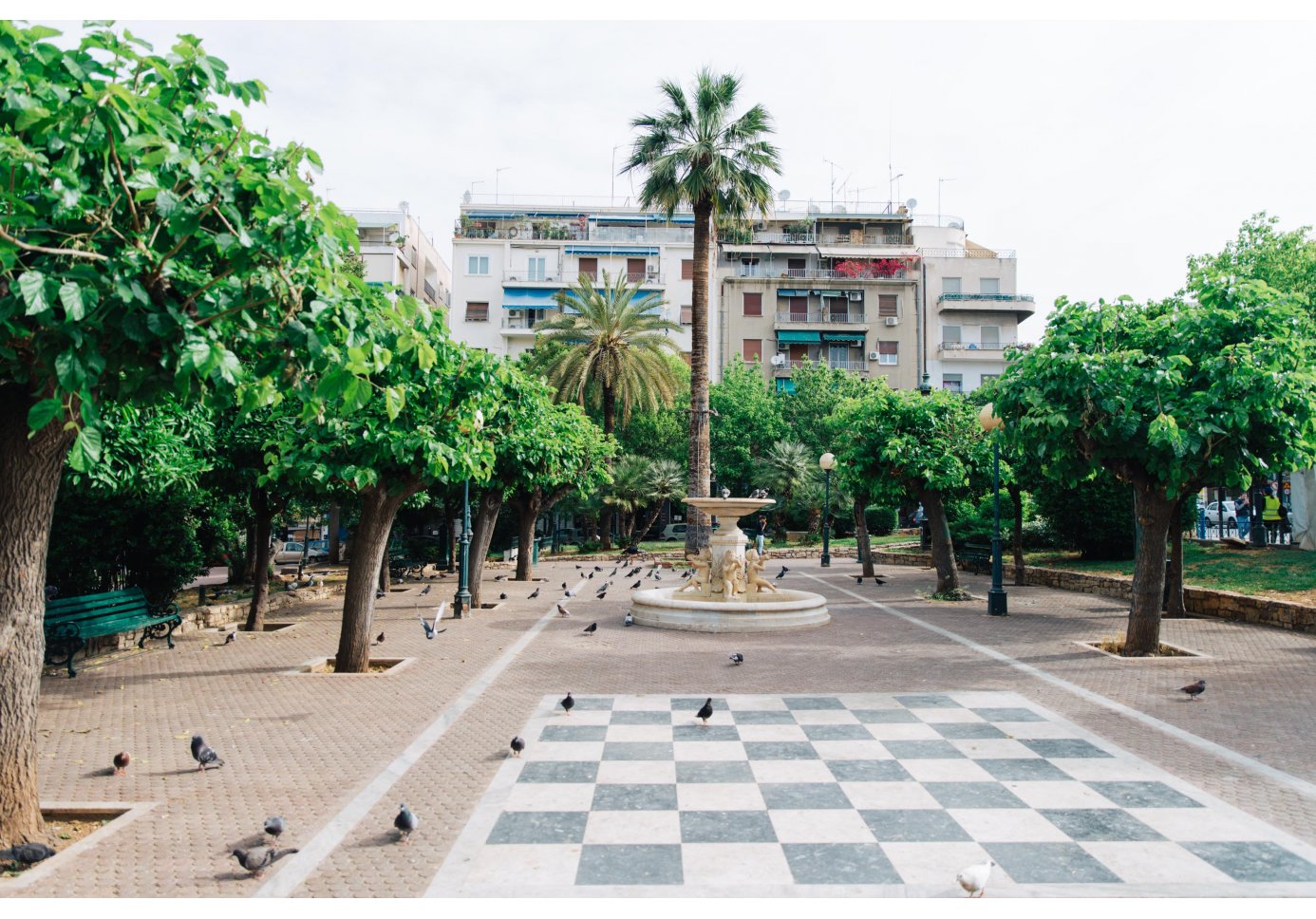 a square with trees and a fountain, birds around.