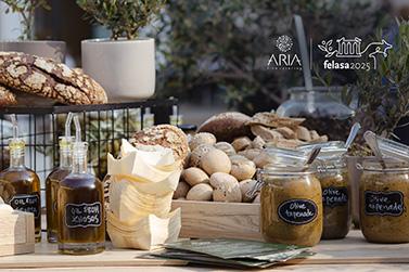 aria2