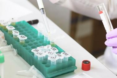lab