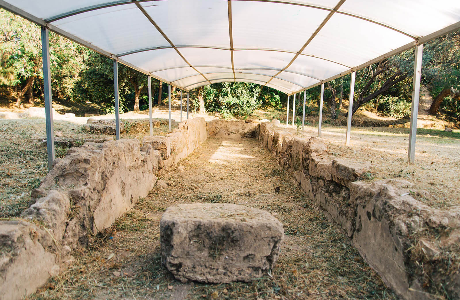 Plato’s Academy The Official Athens Guide