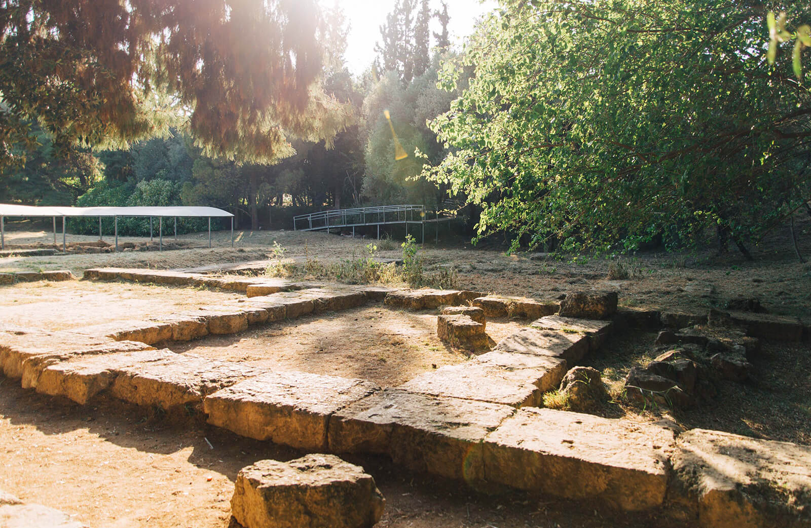 Plato’s Academy The Official Athens Guide