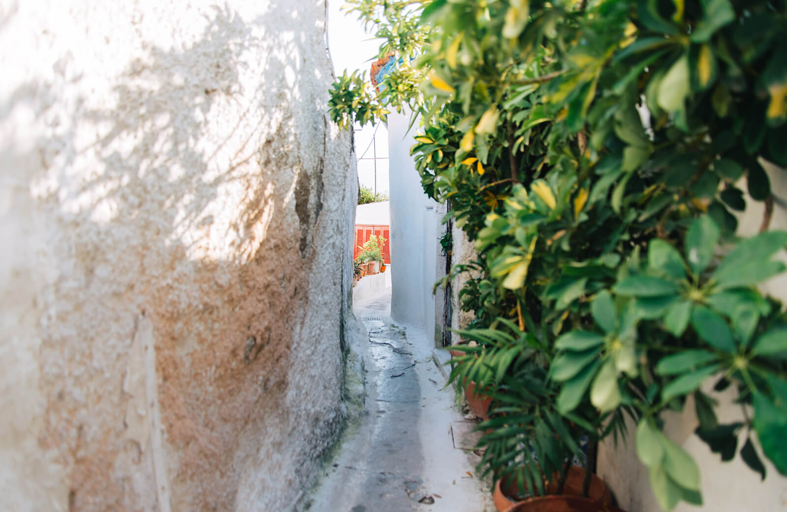 Squeeze through one of these narrow streets for an island getaway right in Athens. |  