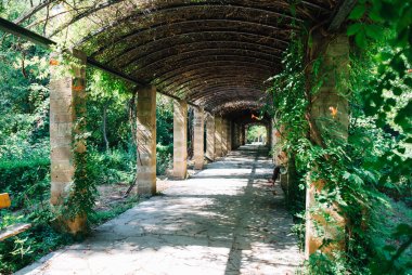 A tunnel at the National Garden