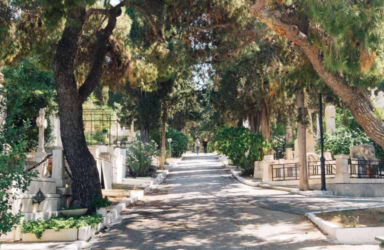 shady path through graves