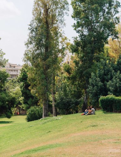 Eleftherias Park ambelopkipi