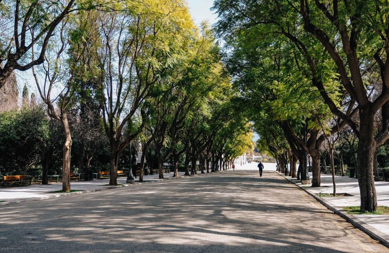 zappeion allea