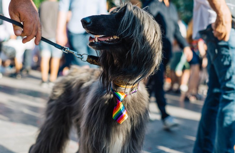 LGBT athens, pride parade, gay 