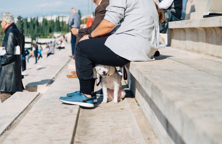 People at the bleachers of Panathianic stadium in Athens. 