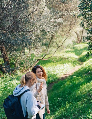 two women talking under olive trees in Philopappou Hill Athens