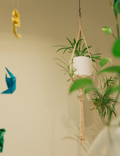 flower pots as decoration at Peas in Koukaki