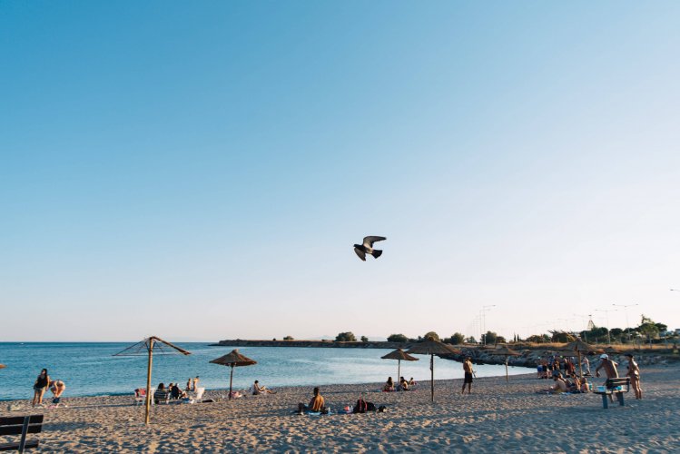 people on the beach, a bird flying around.