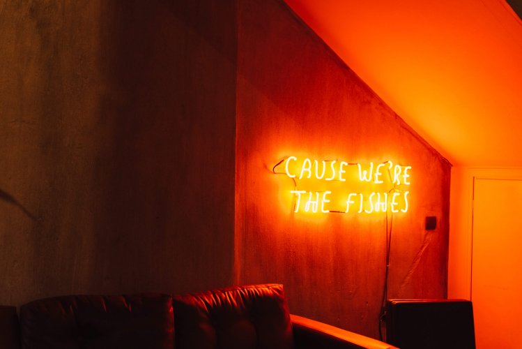 a neon sign on a dark wall writing "cause we're the fishes"