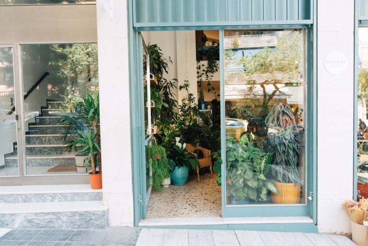 the entrance of a plant shop next to the entrance of a block of flats.