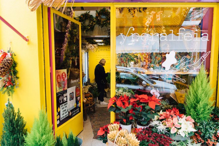 a view of Yperalfeia from the street, plants everywhere, yellow walls.