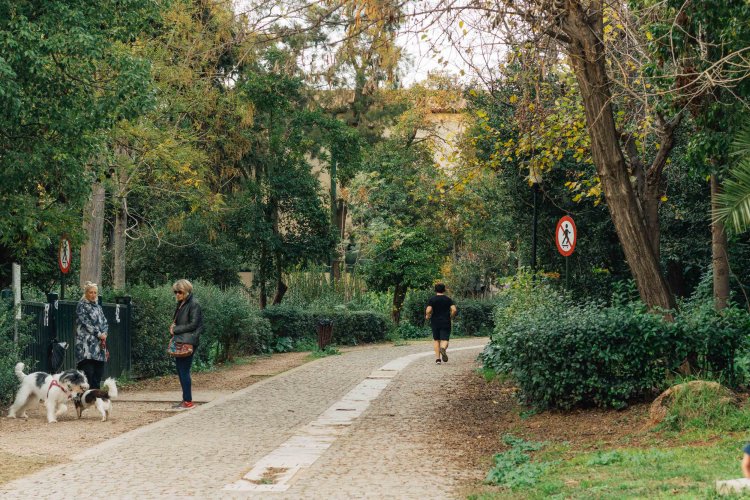 two women walking their dogs in a park, one man running