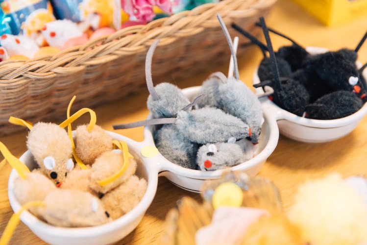 mouse-shaped cat toys in bowls