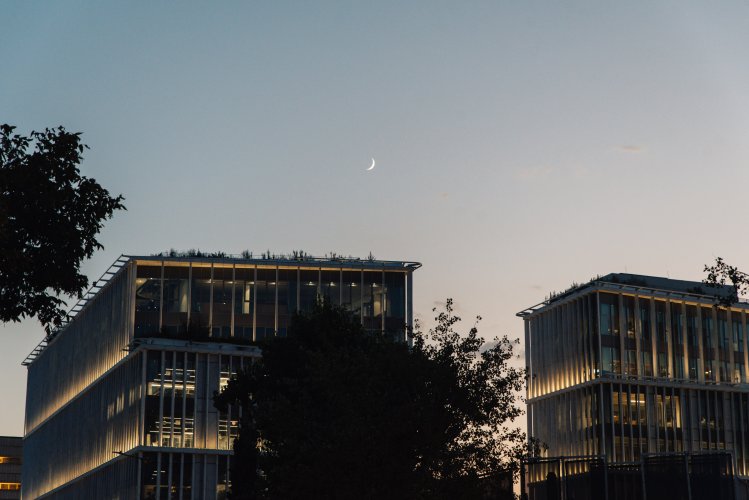 two office buildings with their night lights on.