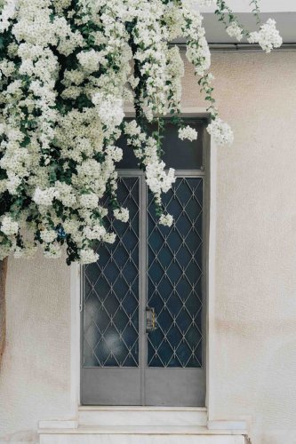 adornment door and a flower plant above it.