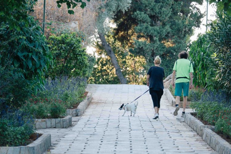 two people walking a dog at a park.