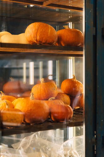 A window display with a variety of pumpkins of different shapes, sizes, and colors.