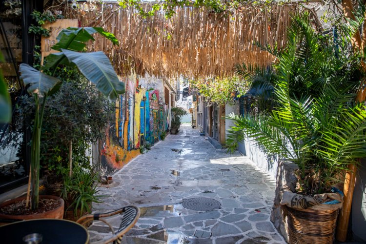 an alley with murals and many trees