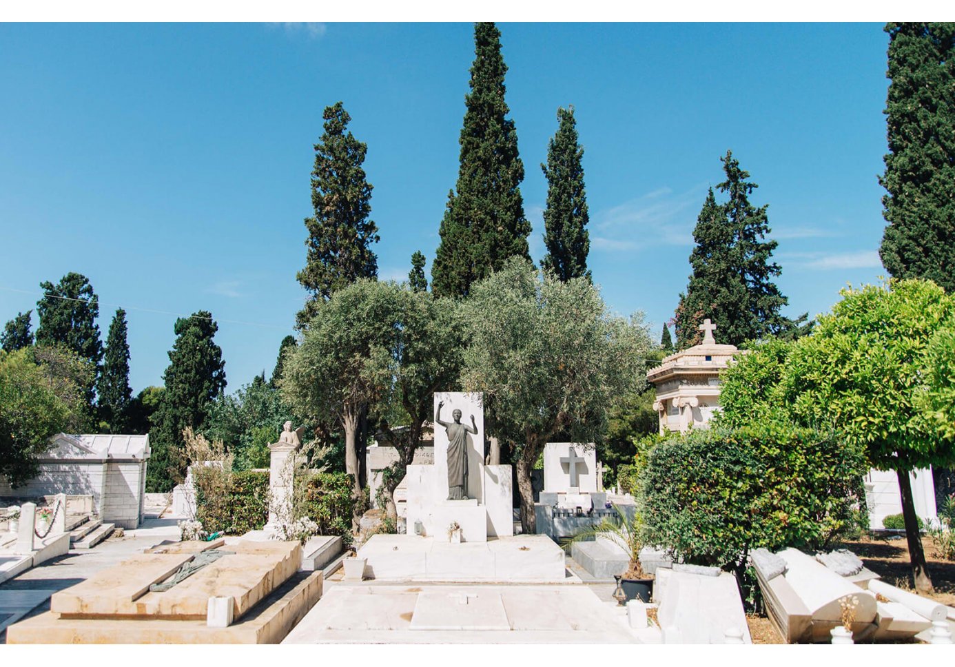 marble graves, pine trees, olive trees and bitter lemon trees in a cemetery
