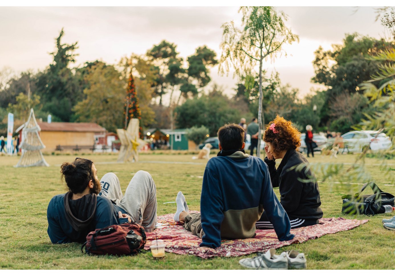 two men and a woman having a picnic at the park.